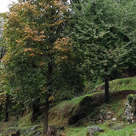 Villa Pura Vida Saint-Martin-Vésubie Eksteriør billede