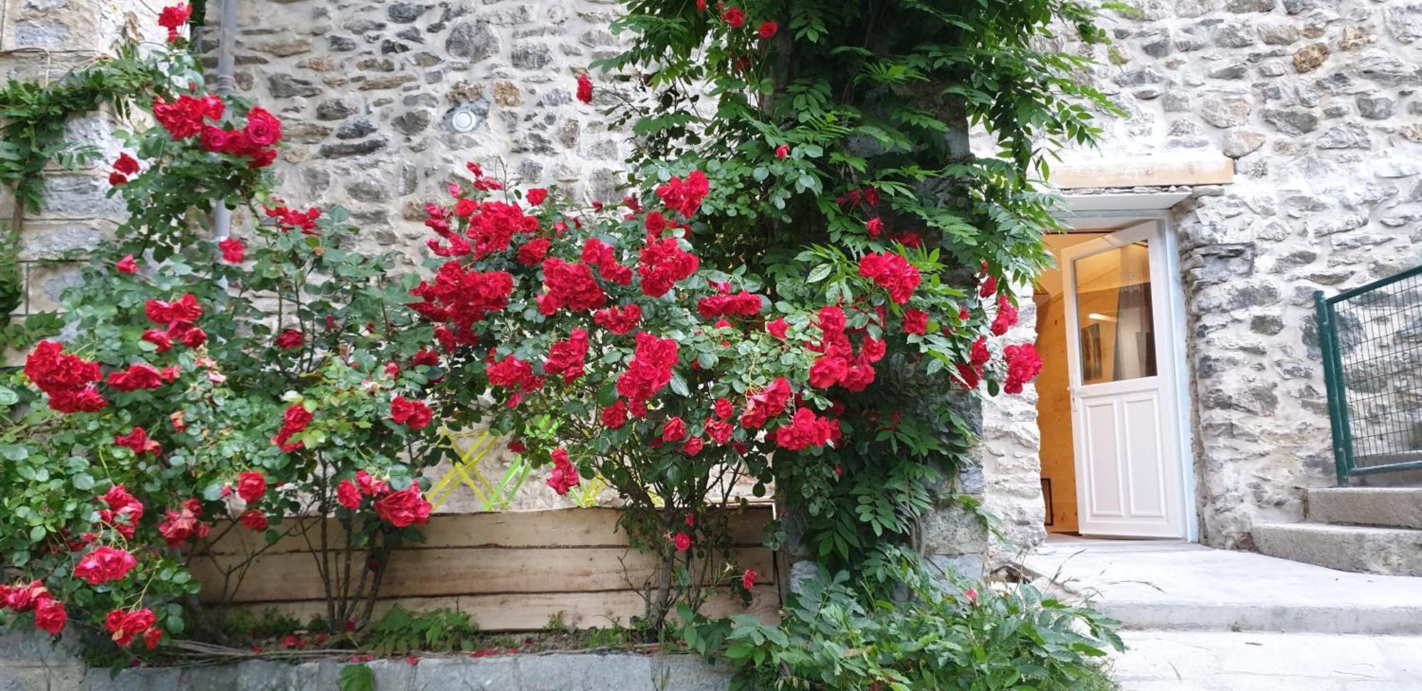 Villa Pura Vida Saint-Martin-Vésubie Værelse billede