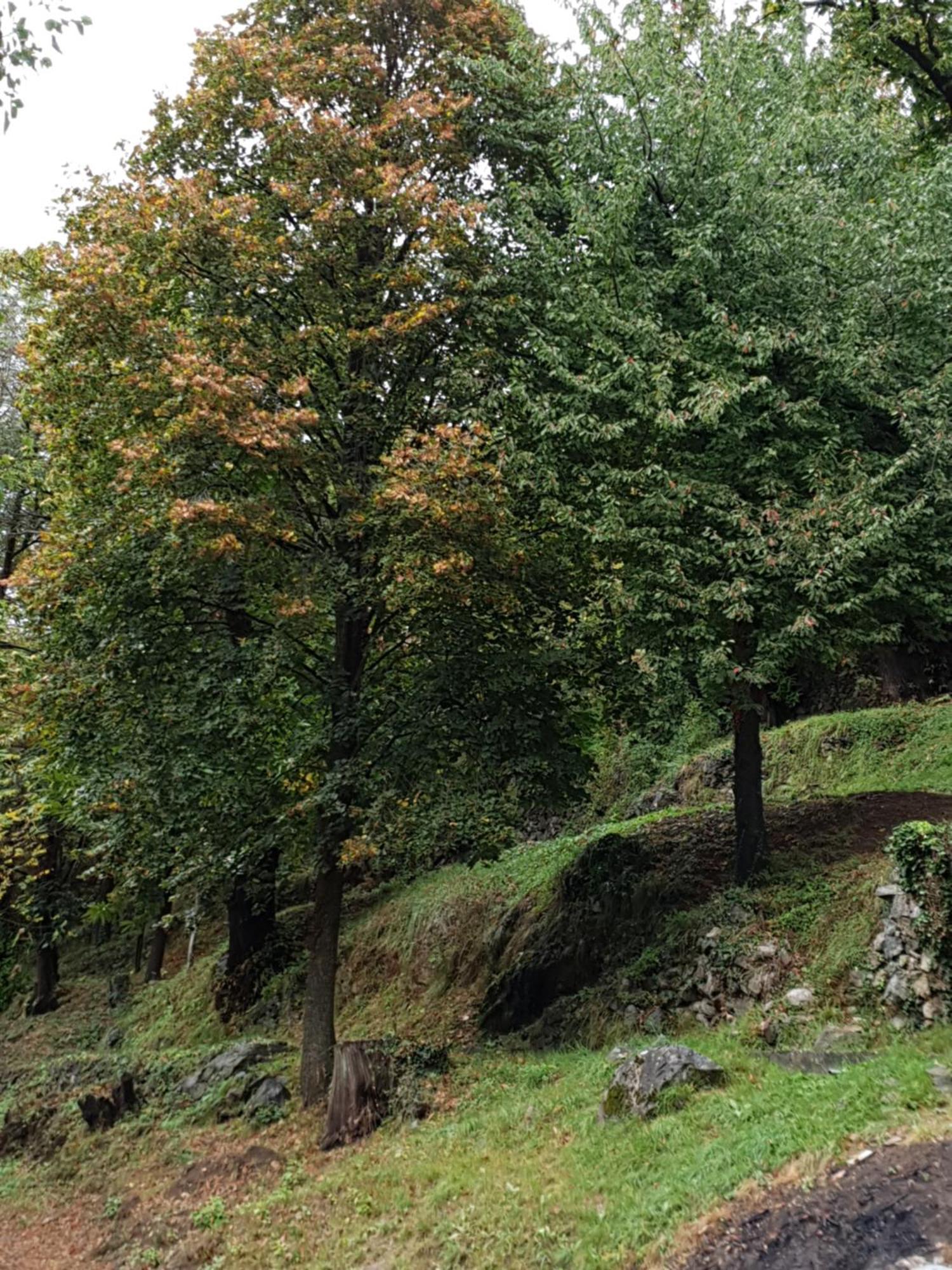 Villa Pura Vida Saint-Martin-Vésubie Eksteriør billede