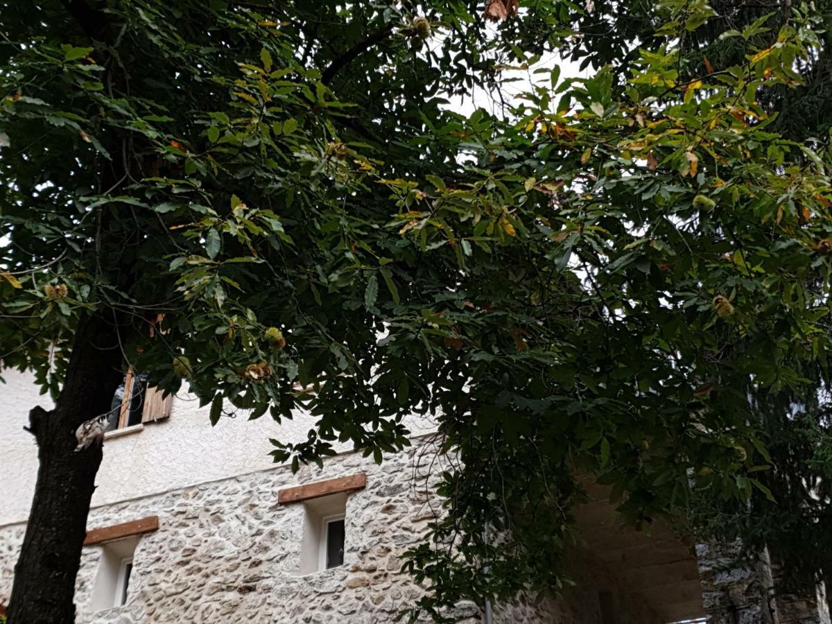 Villa Pura Vida Saint-Martin-Vésubie Eksteriør billede